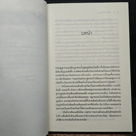 ทรายเลื่อมมุก - ซ่อนกลิ่น รูปที่ 7
