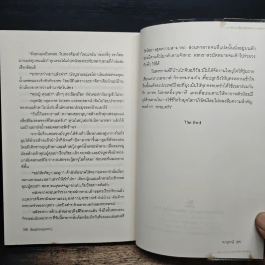 อ้อนรักกฤตพจน์ - เมญาณี รูปที่ 8