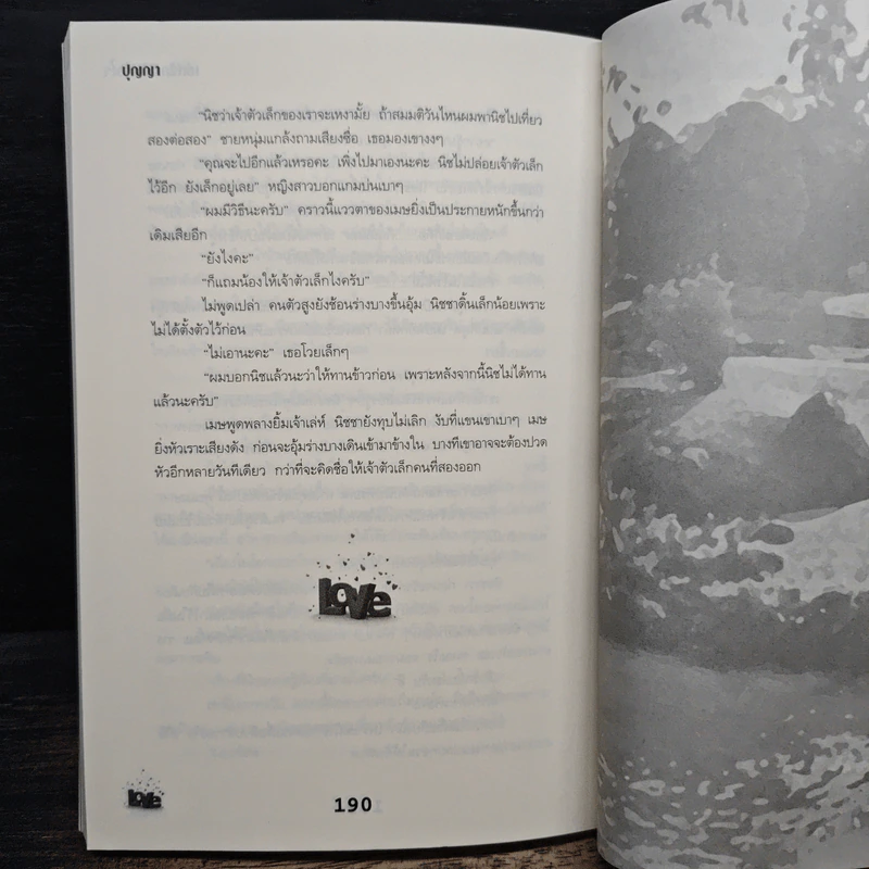 เล่ห์รัก...ดักหัวใจ - ปุญญา รูปที่ 8