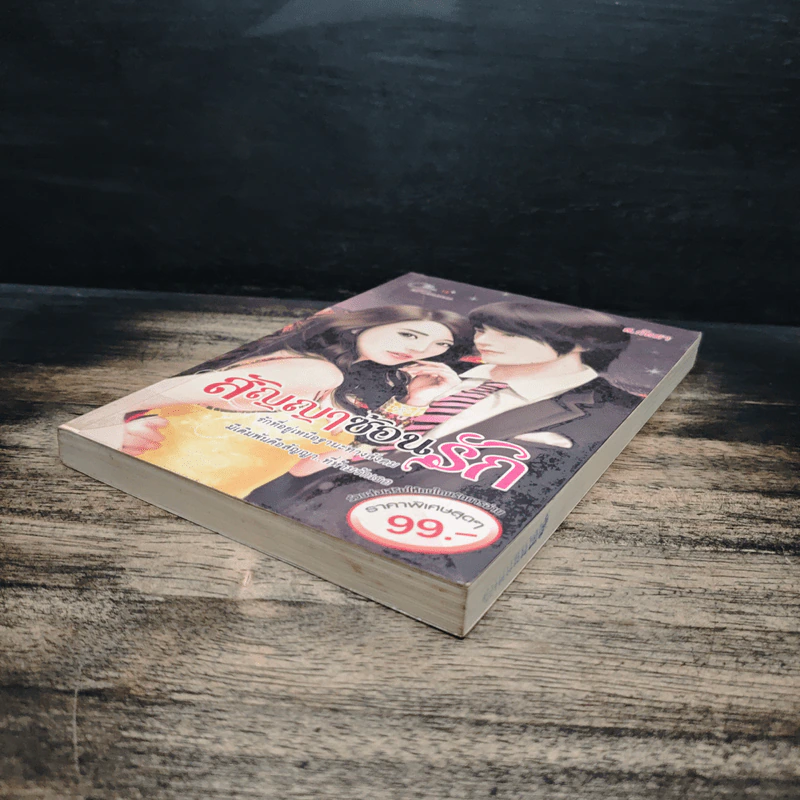 สัญญาซ้อนรัก - ส.กัลยา รูปที่ 4