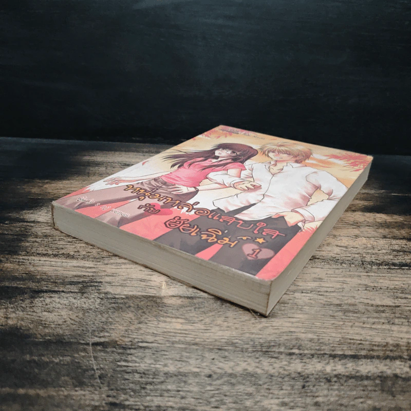 หนุ่มหล่อแสบใสกับยัยเฉิ่ม เล่ม 1 - nj venus รูปที่ 4