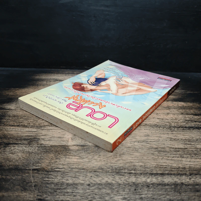 เลิฟ แอคซิเด็นท์ Love Accident - ชนกหมาย รูปที่ 5