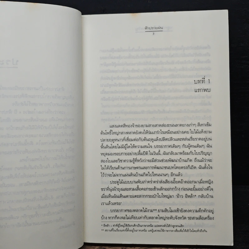 ปลูกหัวใจในสวนขวัญ - ฟ้าปรายฝน รูปที่ 7