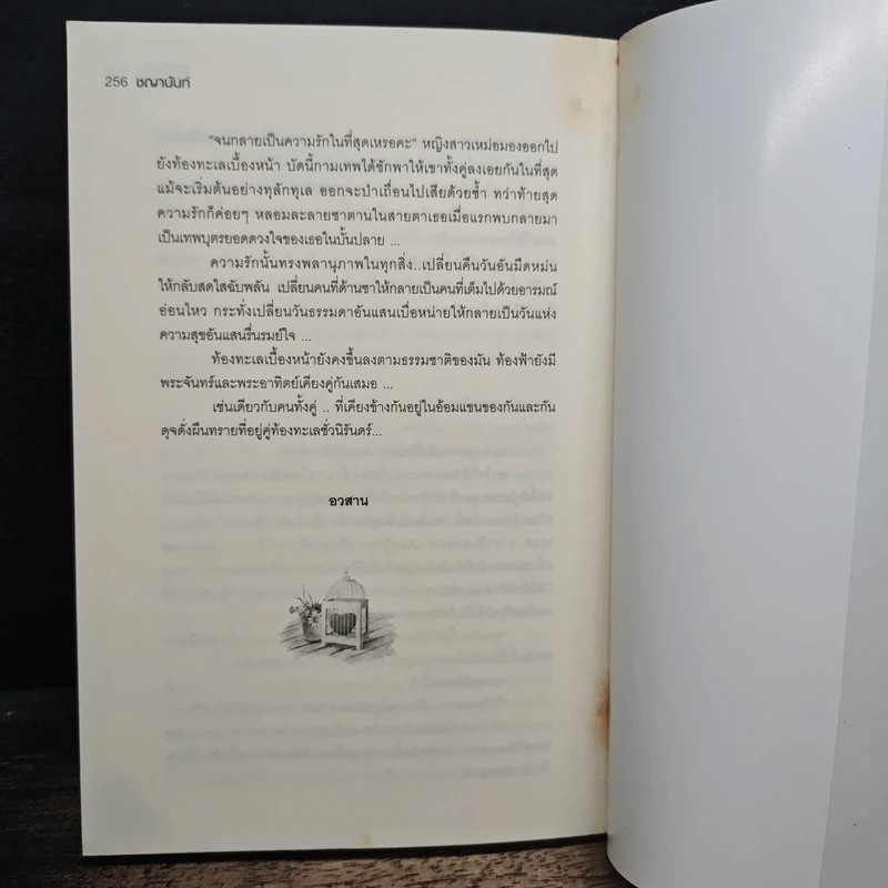 เพลิงแค้นกามเทพ - ชญานันท์ รูปที่ 8