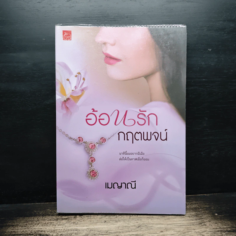 อ้อนรักกฤตพจน์ - เมญาณี รูปที่ 1