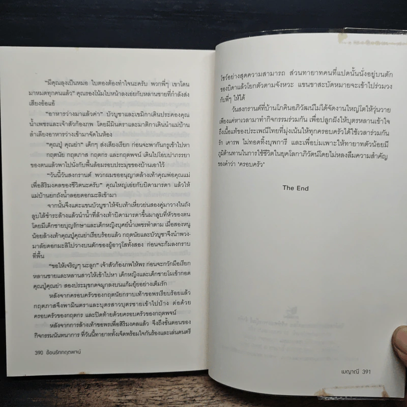 อ้อนรักกฤตพจน์ - เมญาณี รูปที่ 8