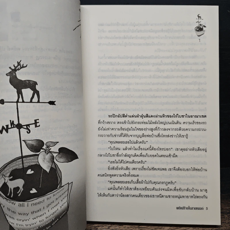 พยัคฆ์ร้ายในสายหมอก - โมริสา รูปที่ 8