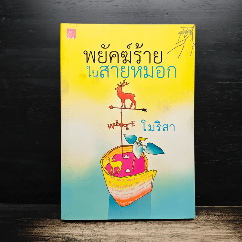 พยัคฆ์ร้ายในสายหมอก - โมริสา รูปที่ 1