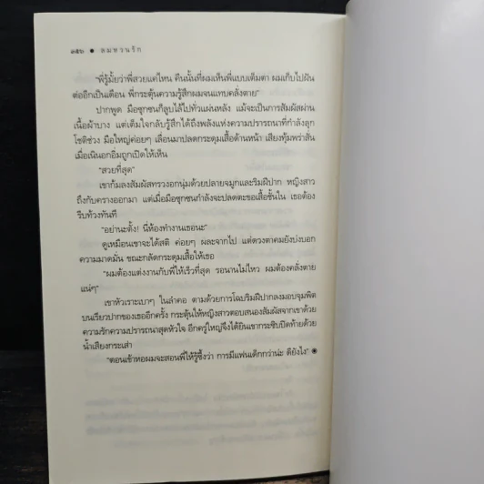 ลมหวนรัก - ดาริยา รูปที่ 8