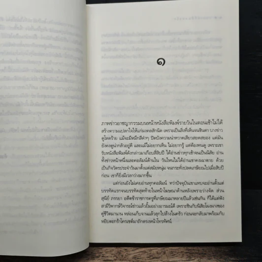 แปดเล่ห์สิบสองรัก - ณารา รูปที่ 7