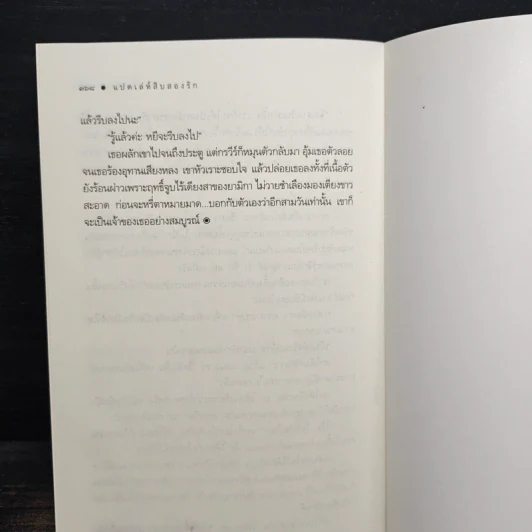 แปดเล่ห์สิบสองรัก - ณารา รูปที่ 8