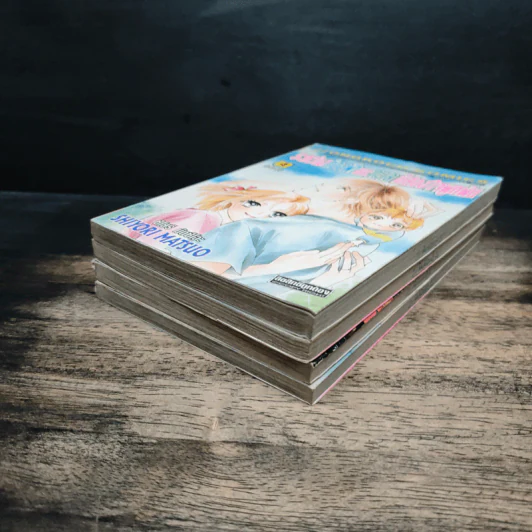ระหว่างท้องฟ้าและทะเลมีสองใจผูกพัน 4 เล่มจบ - Shiyori Matsuo รูปที่ 3