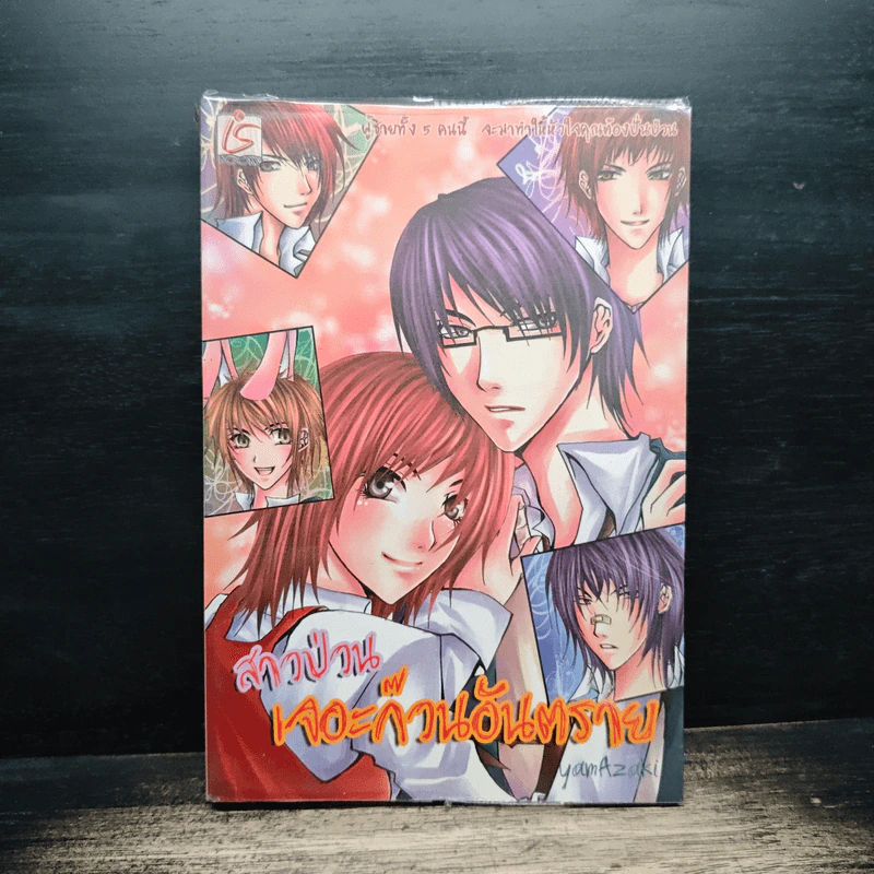 สาวป่วนเจอะก๊วนอันตราย - Yamazaki รูปที่ 1