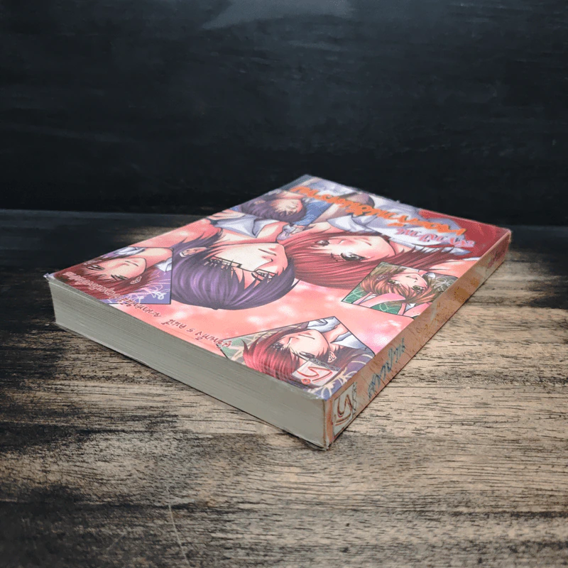 สาวป่วนเจอะก๊วนอันตราย - Yamazaki รูปที่ 5