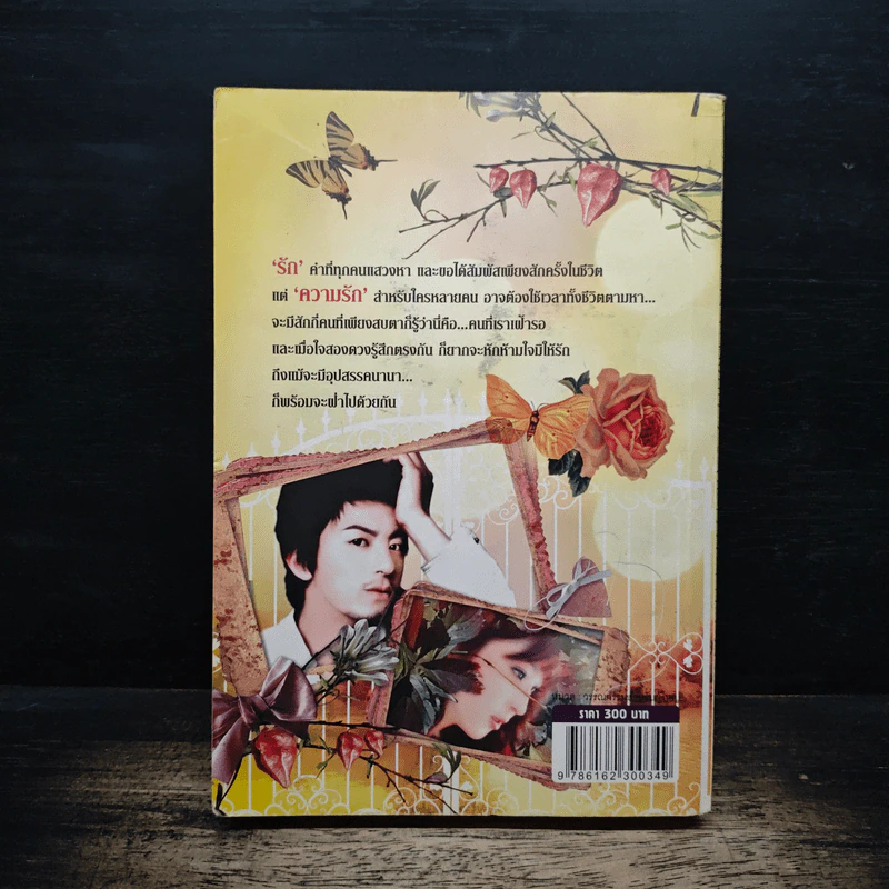 บุพเพเสน่หา - ดารินทร์ รูปที่ 2