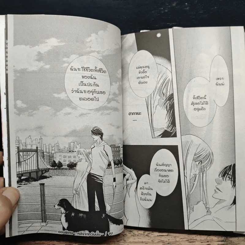 ห่วงโซ่กุหลาบ 3 เล่มจบ - Osakabe Mashin รูปที่ 8
