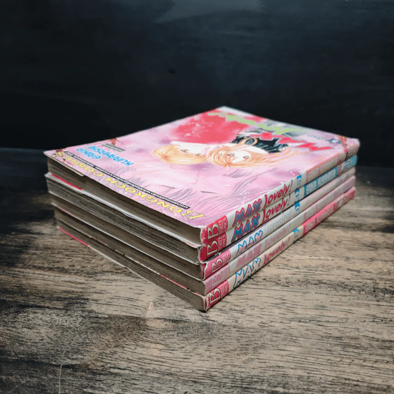 Max Lovely 5 เล่มจบ - Erika Kurahashi รูปที่ 3