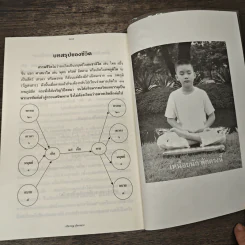 บริหารบุญ บริหารบาป - เจตสิก รูปที่ 10