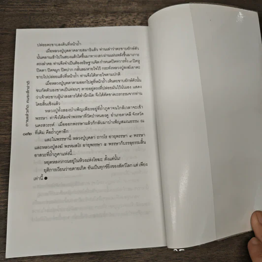 ตายแล้วเกิด คนระลึกชาติ - นที ลานโพธิ์ รูปที่ 9