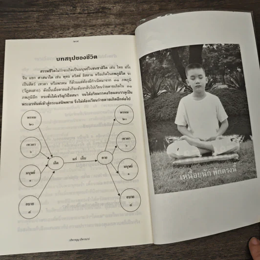 บริหารบุญ บริหารบาป - เจตสิก รูปที่ 10
