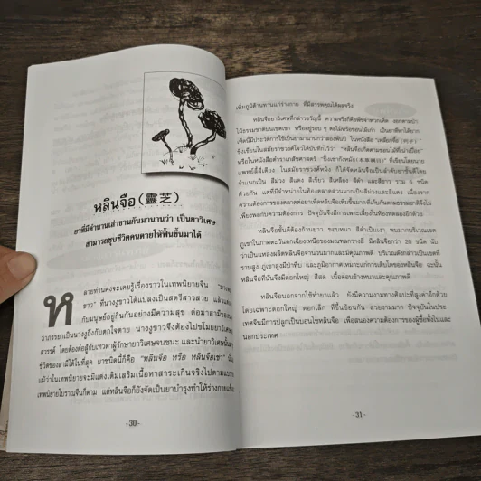 ยาจีนและอาหารบำรุงสุขภาพ - มิ่งมิตร นวรัตน์ รูปที่ 7