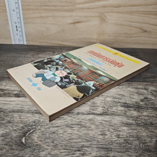 เทคนิคการเล่นหุ้น เล่ม 3 บทเรียนจากไต้หวัน - เบี้ยฟ้า รูปที่ 3