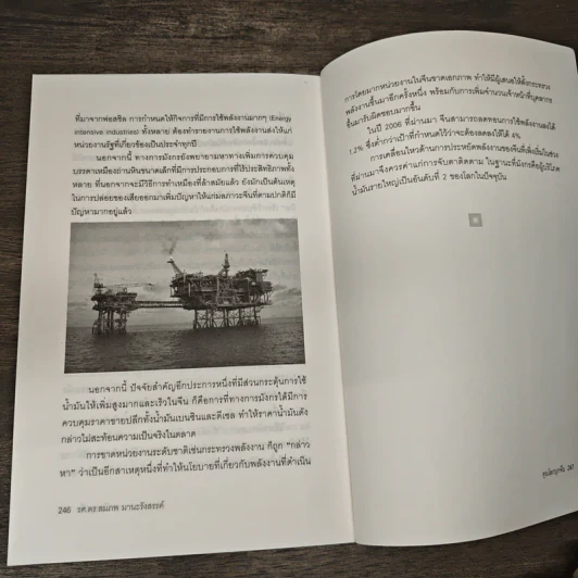 ทุนโลกบุกจีน - รศ. ดร. สมภพ มานะรังสรรค์ รูปที่ 9