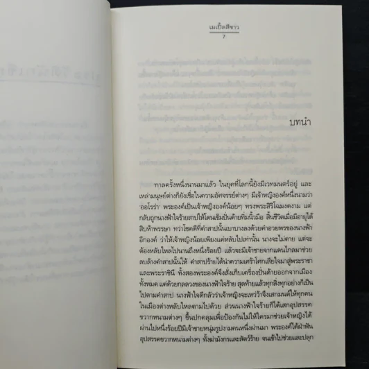 รู้เพียงรัก - เมเปิ้ลสีขาว รูปที่ 7