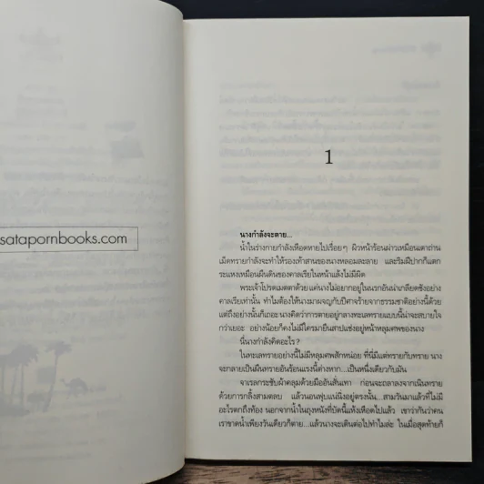 จ้าวทะเลทราย - ออโรร่าห์ รูปที่ 7