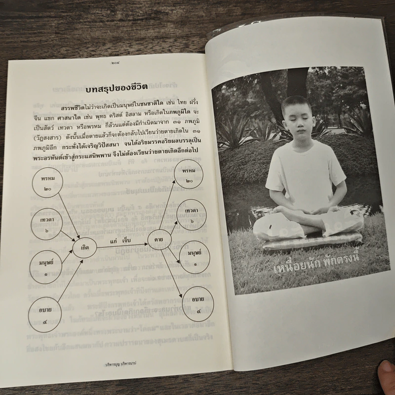 บริหารบุญ บริหารบาป - เจตสิก รูปที่ 10