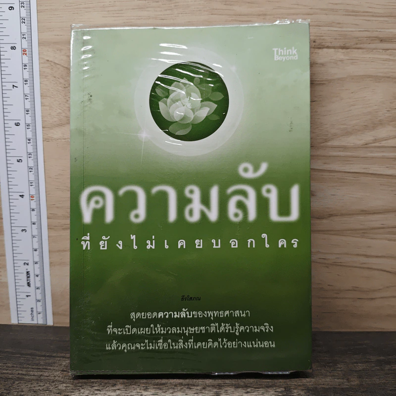 ความลับที่ยังไม่เคยบอกใคร - ธีรโสภณ รูปที่ 1
