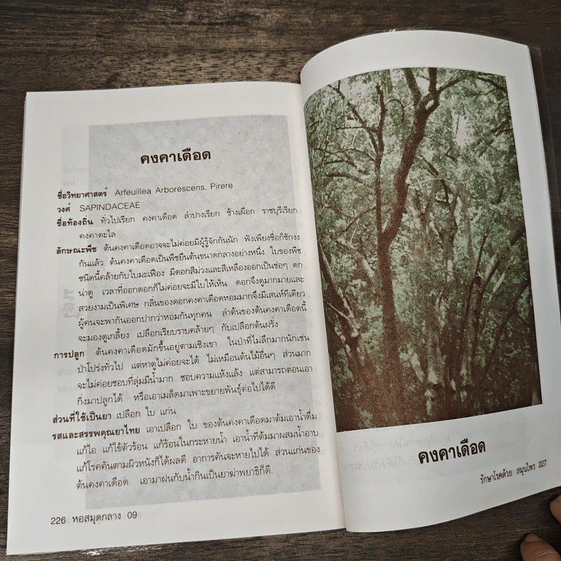 รักษาโรคด้วยสมุนไพร - ยุวดี จอมพิทักษ์ รูปที่ 9