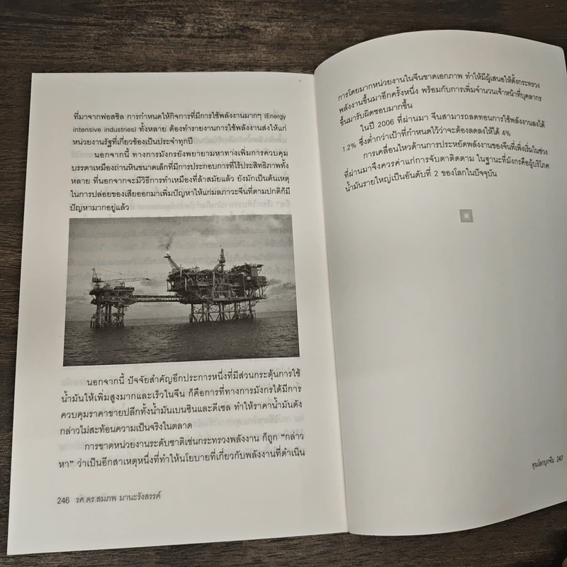 ทุนโลกบุกจีน - รศ. ดร. สมภพ มานะรังสรรค์ รูปที่ 9