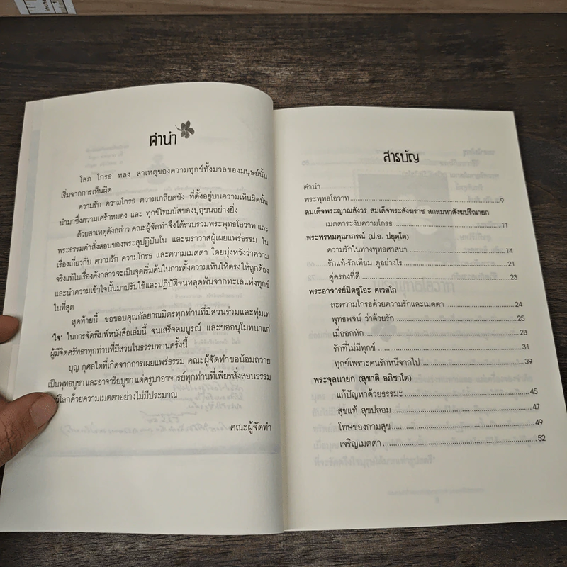 ความจริง เกี่ยวกับ ความรัก ความโกรธและความเมตตา รูปที่ 7
