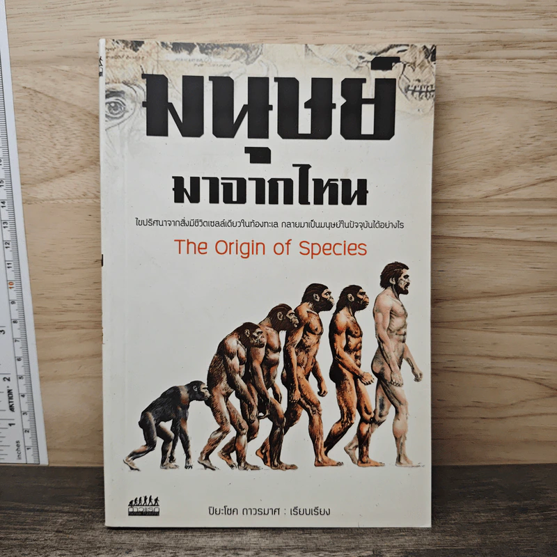 มนุษย์มาจากไหน - ปิยะโชค ถาวรมาศ รูปที่ 1
