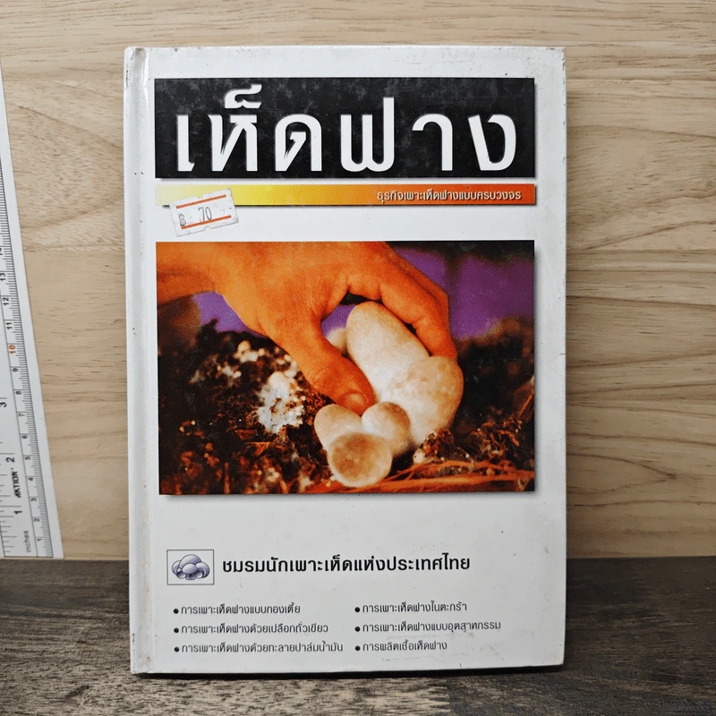 เห็ด ฟาง ธุรกิจเพาะเห็ดฟางแบบครบวงจร รูปที่ 1