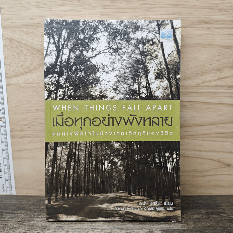 เมื่อทุกอย่างพังทลายหนทางฝึกใจในช่วงเวลา - เพม่า โชดรัน รูปที่ 1