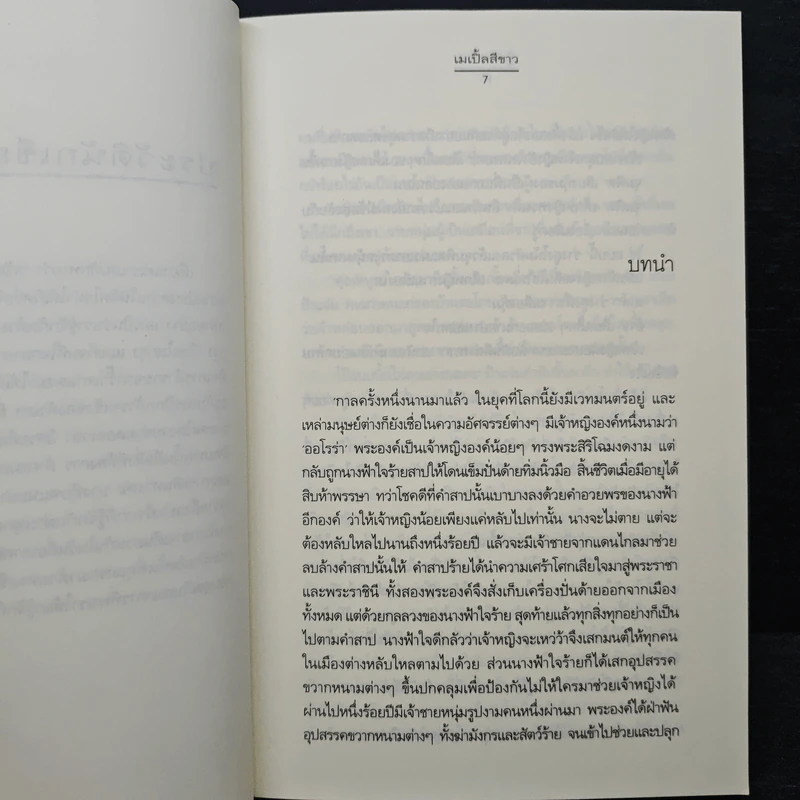 รู้เพียงรัก - เมเปิ้ลสีขาว รูปที่ 7