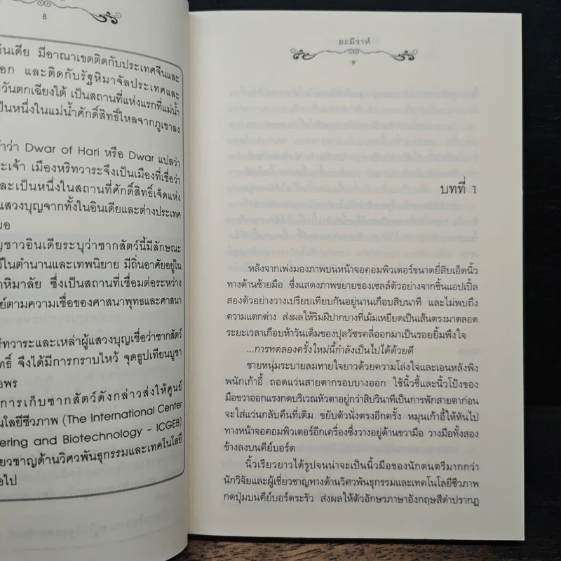 หิมวาอธิษฐาน - อะมีราห์ รูปที่ 7