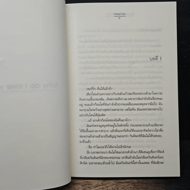 Why do I love you so?! - Clear Ice รูปที่ 7