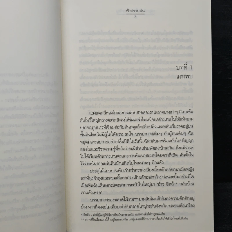 ปลูกหัวใจในสวนขวัญ - ฟ้าปรายฝน รูปที่ 7