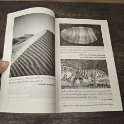 ปัญญารวมหมู่ ฉบับย่อยง่าย : The Perfect Swarm - Len Fisher (เลน ฟิชเชอร์) รูปที่ 7
