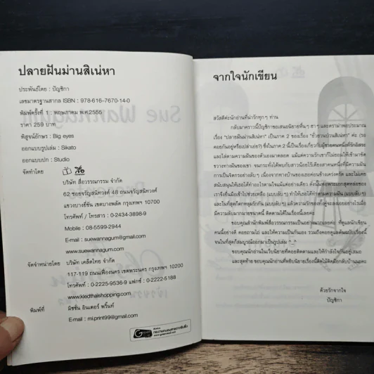 ปลายฝันม่านสิเน่หา - ปัญชิกา รูปที่ 6