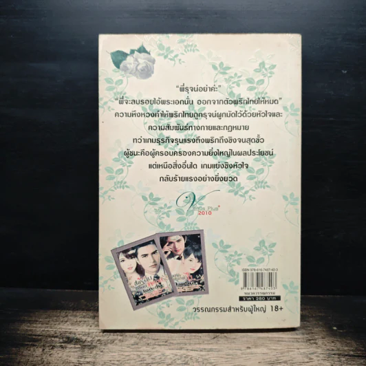 สื่อร้อนซ่อนพิศวาส - ไอตะวัน รูปที่ 2