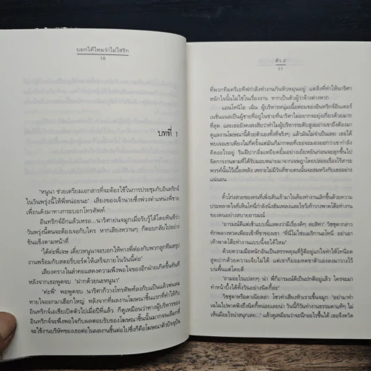 บอกได้ไหมว่าไม่ใช่รัก - ตัว Z รูปที่ 8