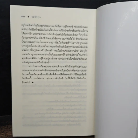 ระบำเงา - กุลธิดา รูปที่ 8