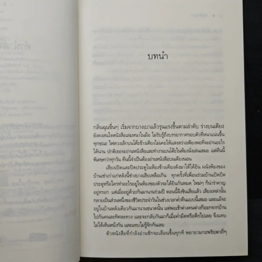 ระบำเงา - กุลธิดา รูปที่ 7