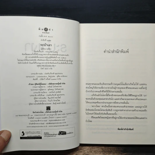 ระบำเงา - กุลธิดา รูปที่ 6