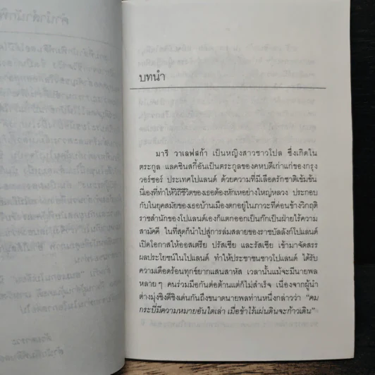 สนมเอก นโปเลีบย - นพดล รูปที่ 7
