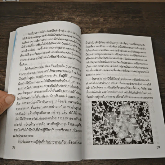 น้ำหมักเพื่อการดื่มกิน หมักเอง ใช้เอง...ดีเอง สูตรแท้และดั้งเดิม - สมพงษ์ บัวแย้ม รูปที่ 9